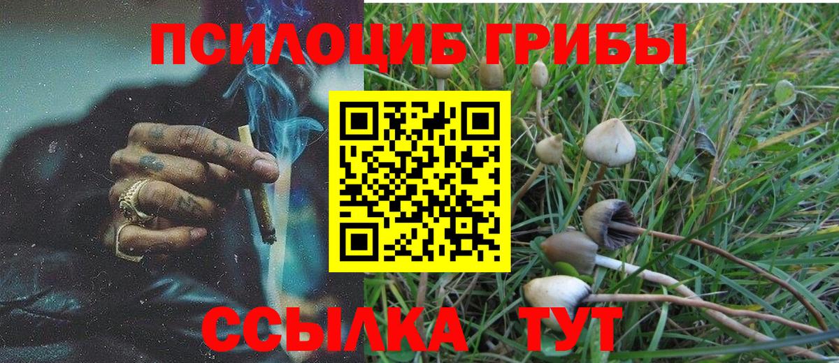 Галлюциногенные грибы прущие грибы  Вход с VPN  Кисловодск 