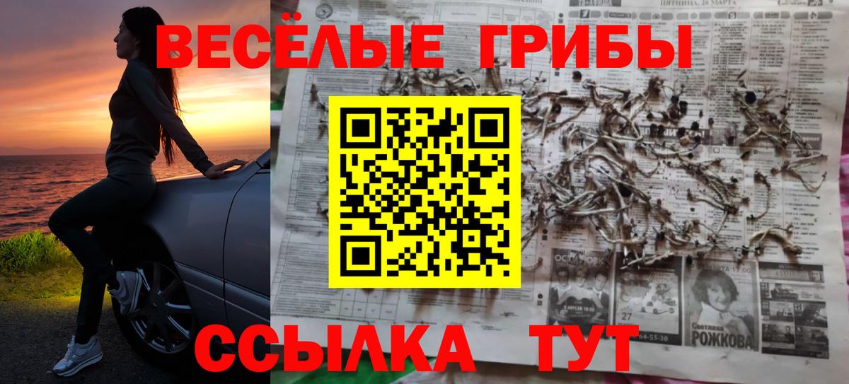 Псилоцибиновые грибы ЛСД Кисловодск
